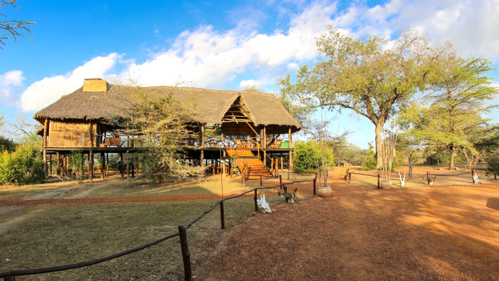 01TIPL IM0001 selous impala camp 1920