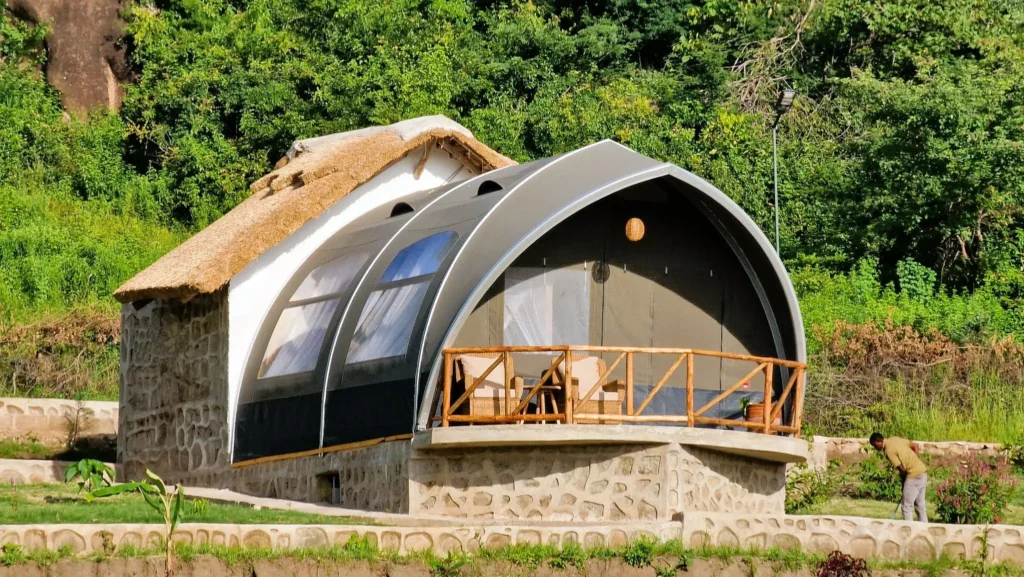 53522158434 774f1ea542 k.jpg