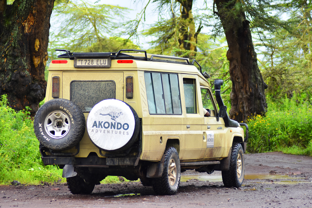 Savannah Explorer (Big Five Africa Luxury Safari)
