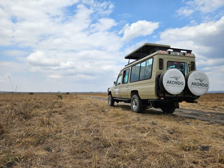 How Much Does It Cost to Go on a Safari