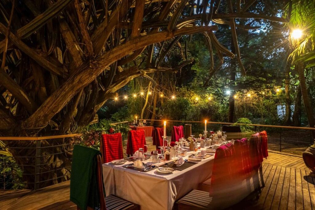 imgi 5 Mount Meru Game Lodge 1