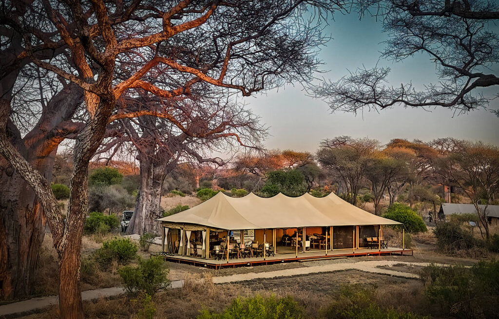 MAIN TENT