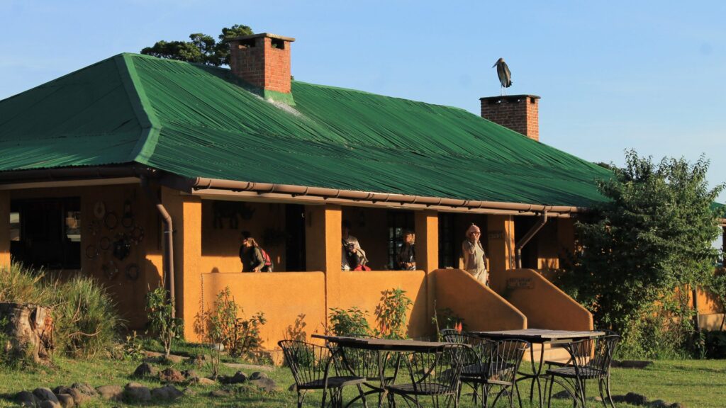 Rhino Lodge 3