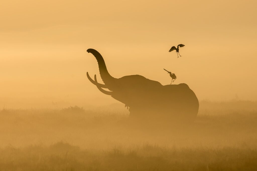 Kenya Travel