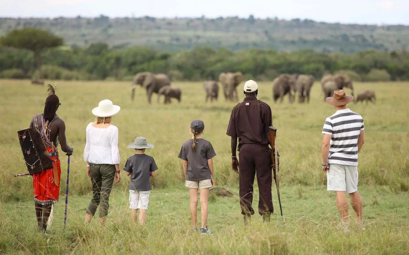 A guided safari in Tanzania