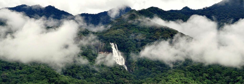 UDZUNGWA MOUNTAIN HIKE (MWANIHANA ROUTE)