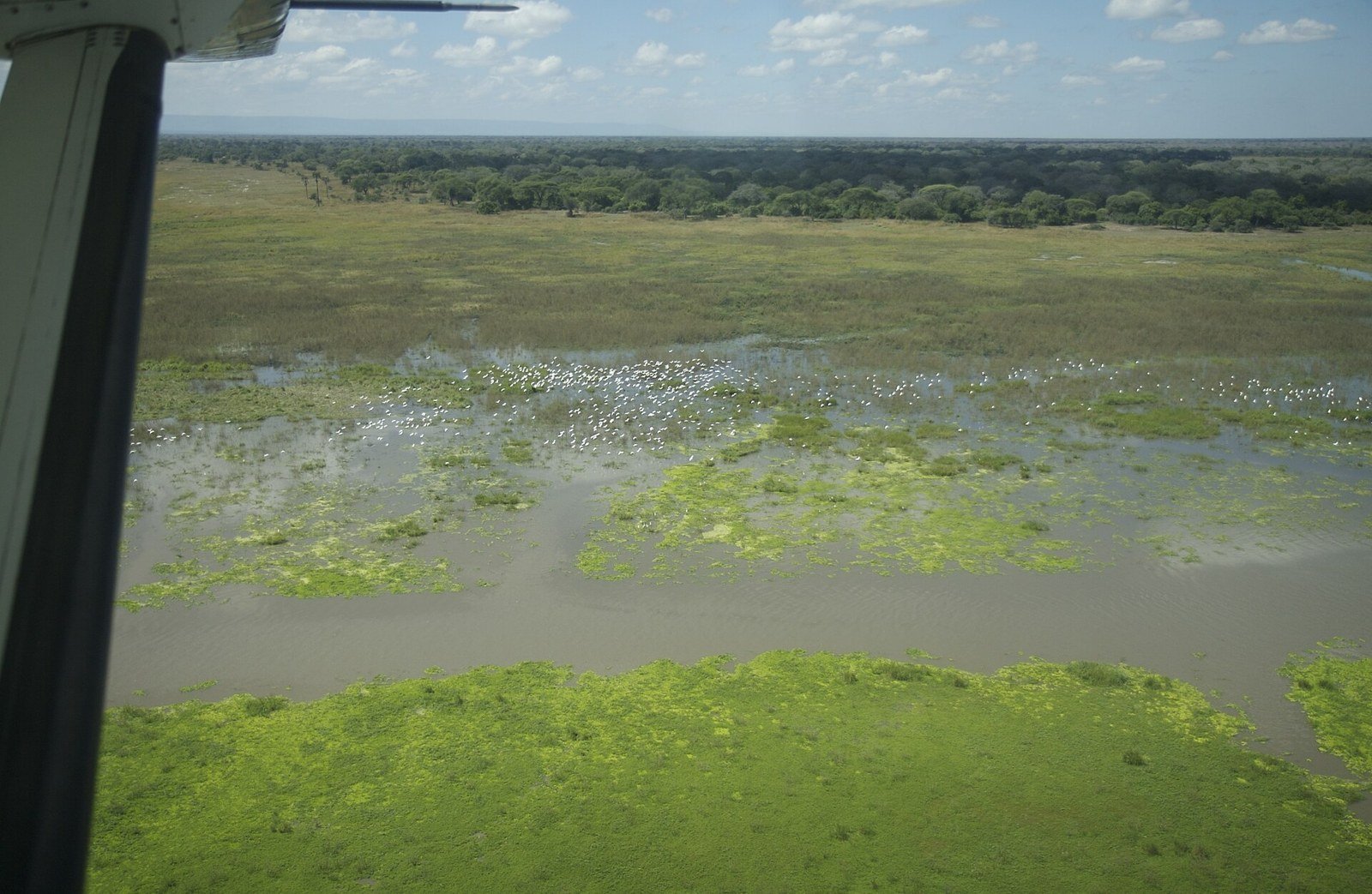 Katavi Aerial.jpg