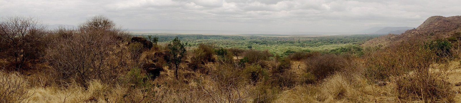 Lake Manyara National Park — Tanzania
