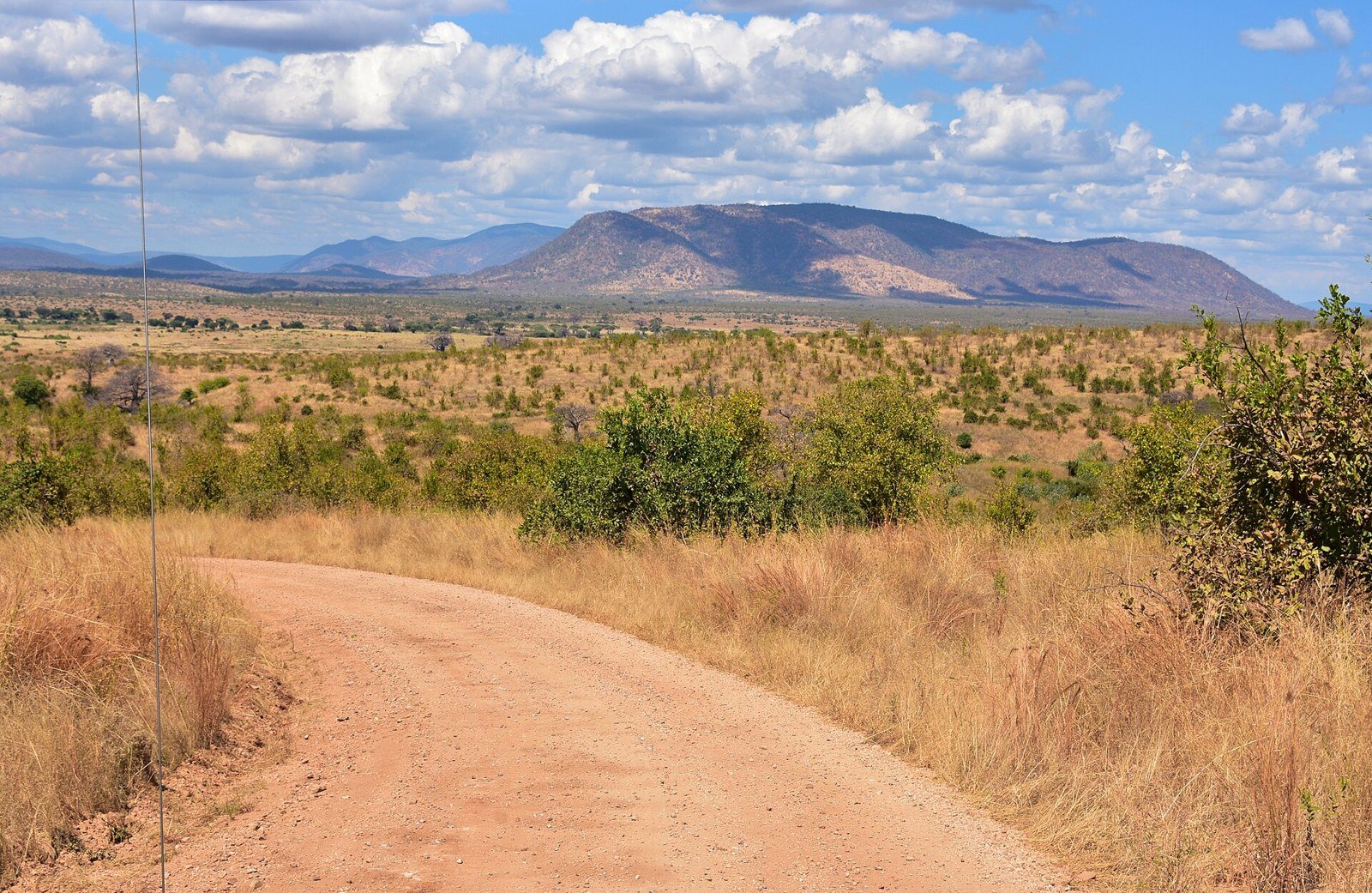 Ruaha National Park — Tanzania