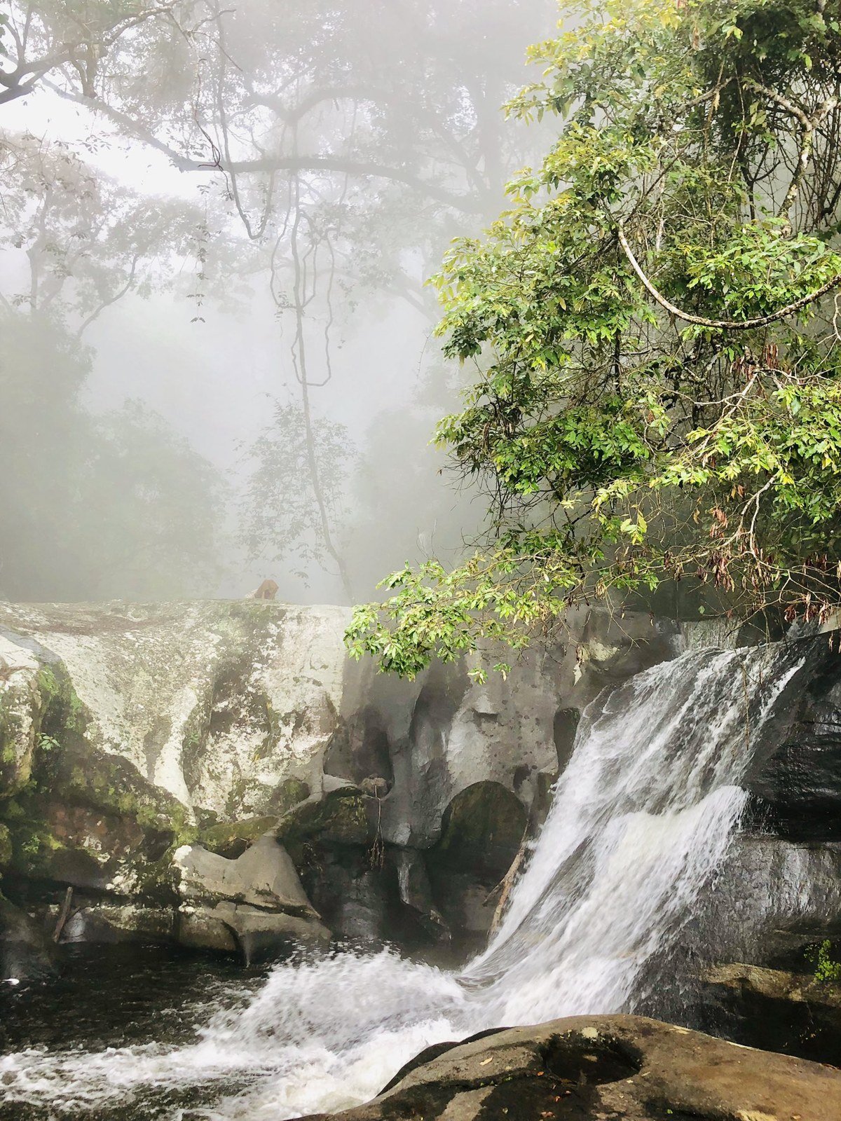 Udzungwa Mountains National Park — Tanzania